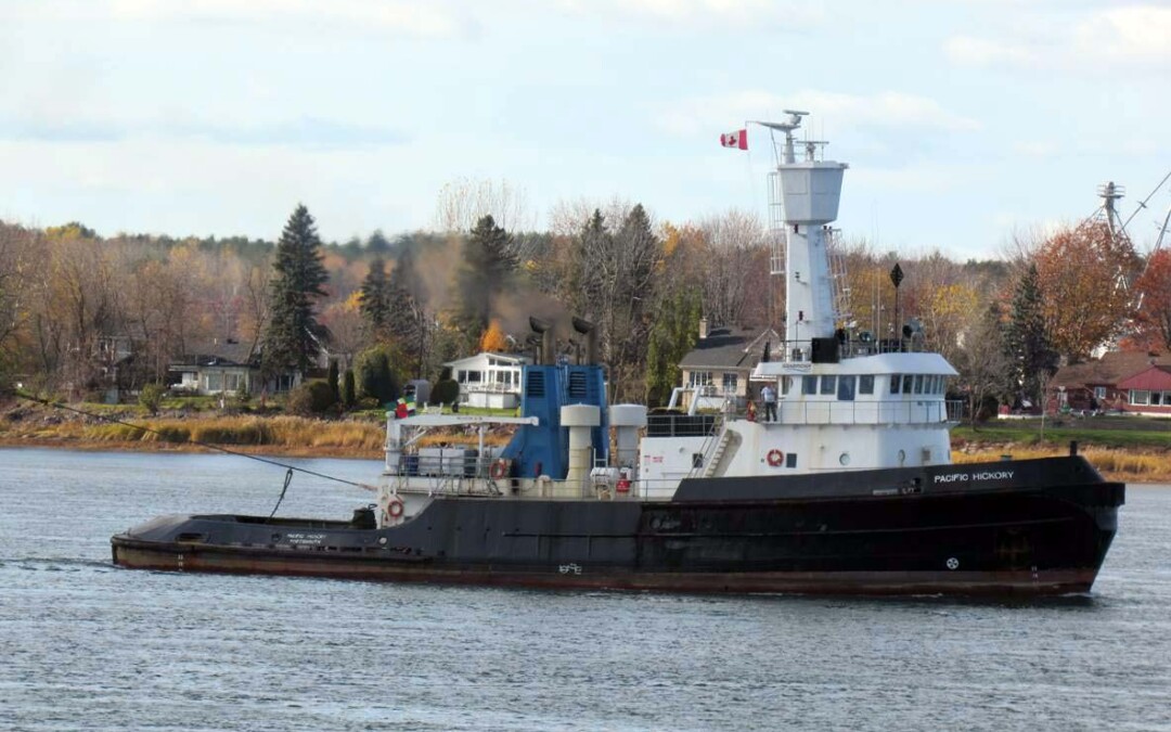 Port Report  January 31, 2025