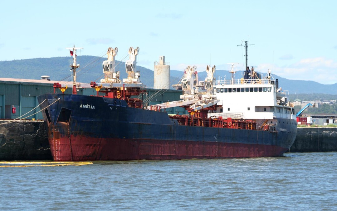 Port Report  March 8, 2025