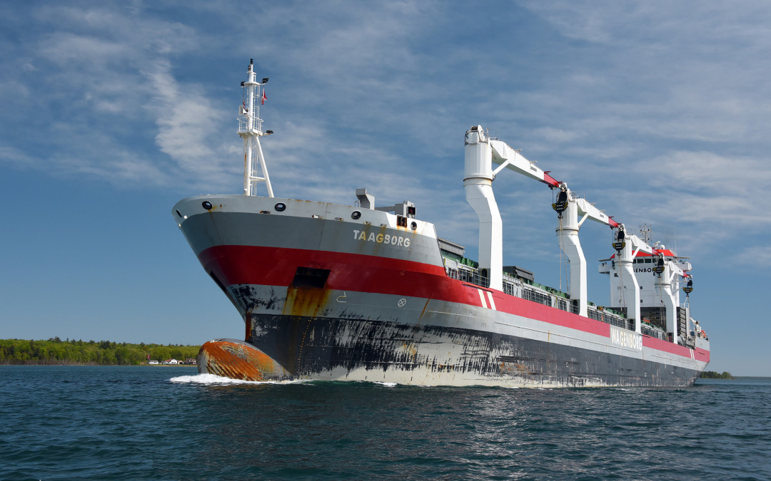 Port Reports – June 4