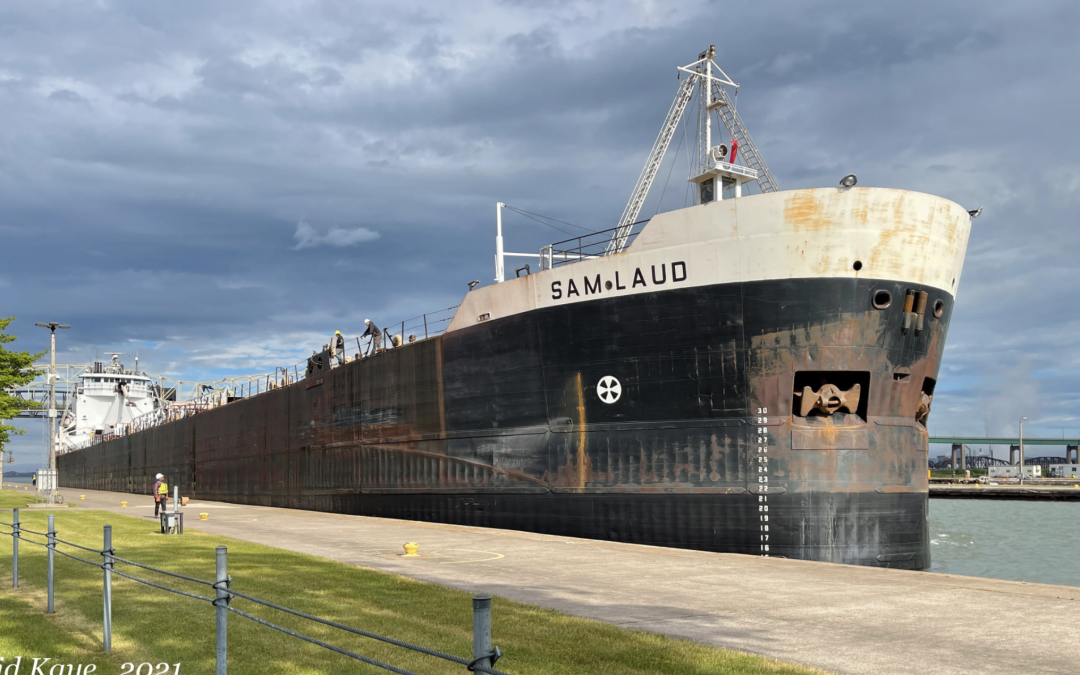 Port Reports – June 15
