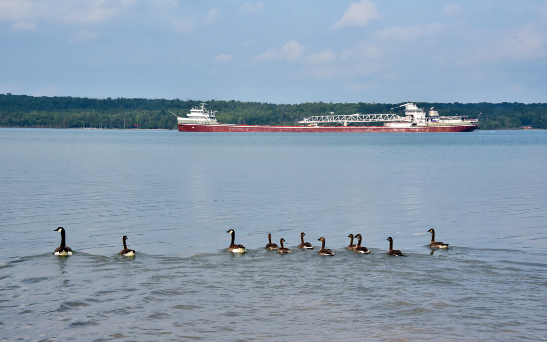 Port Reports – July 6