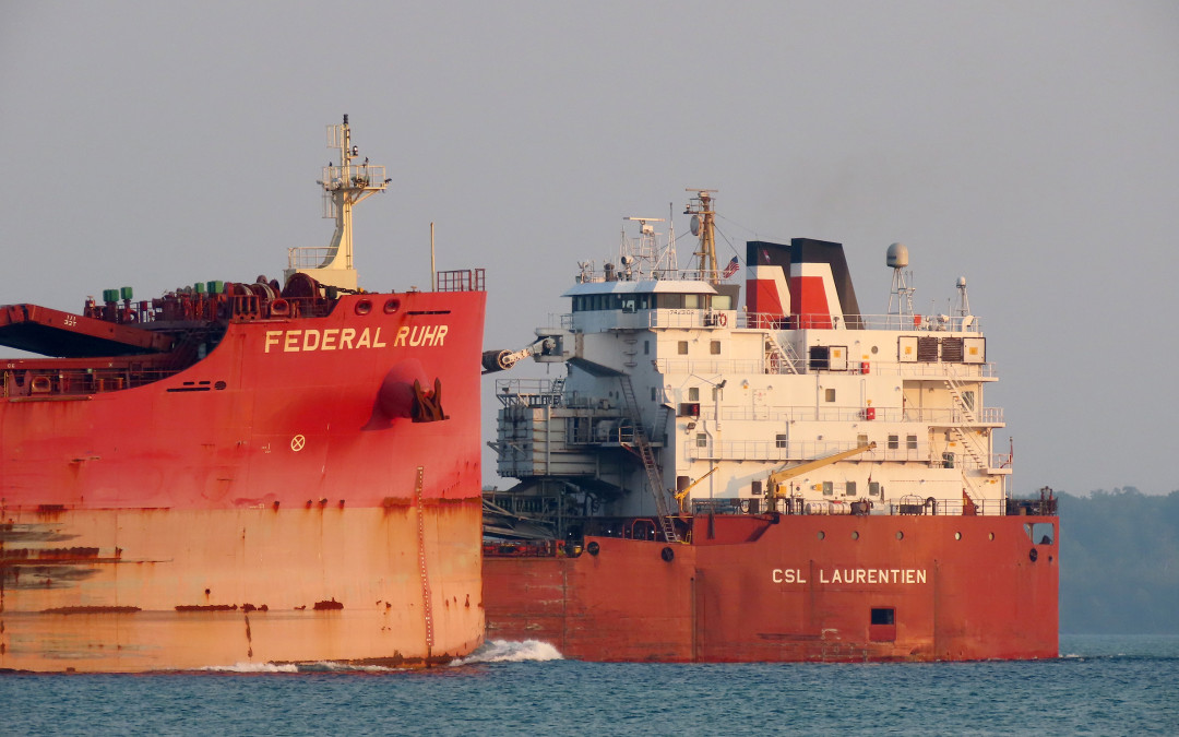 Port Reports – July 28