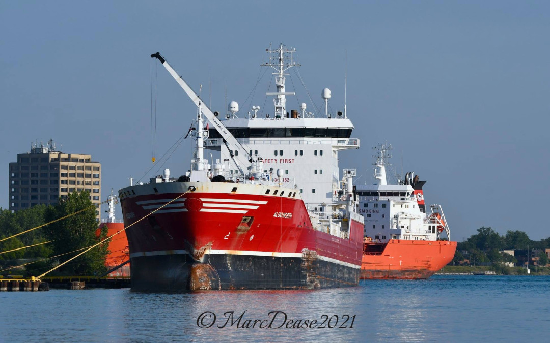 Port Reports – August 6