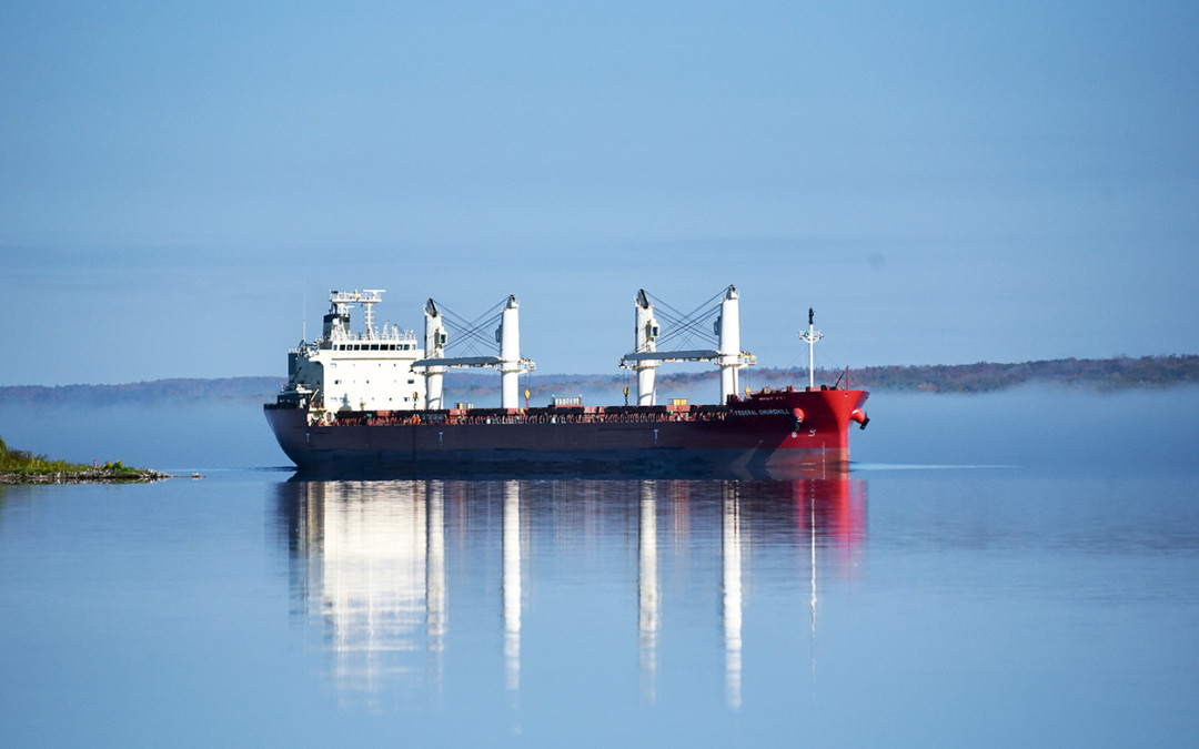 Port Reports – October 7