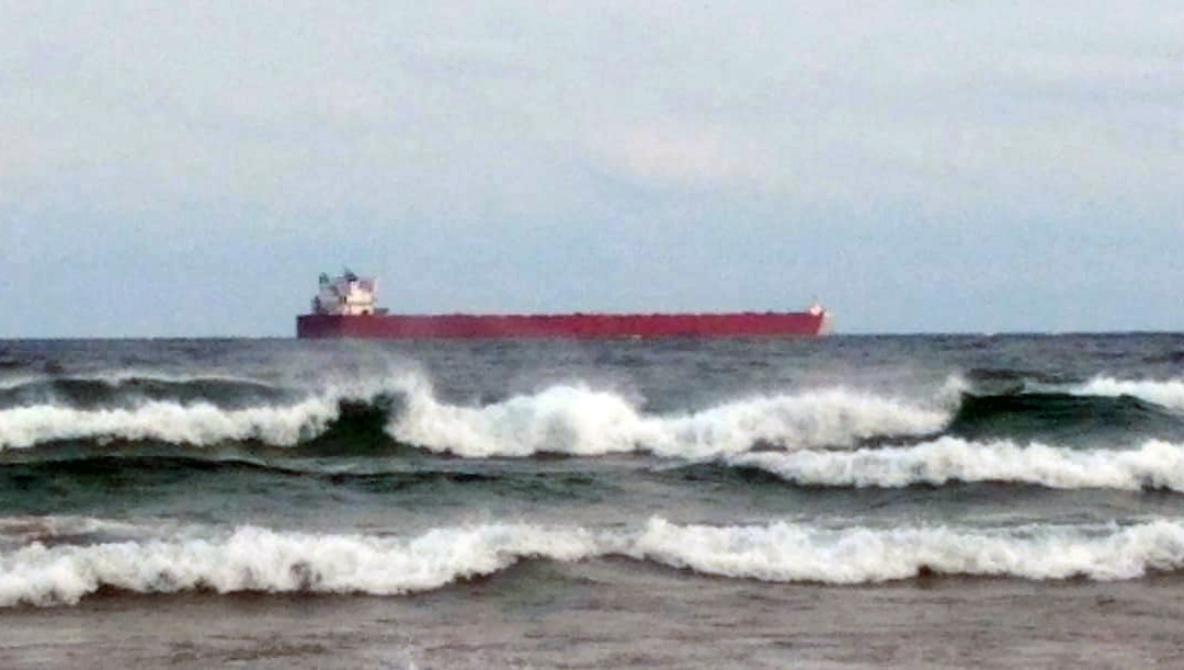 Port Reports – November 13
