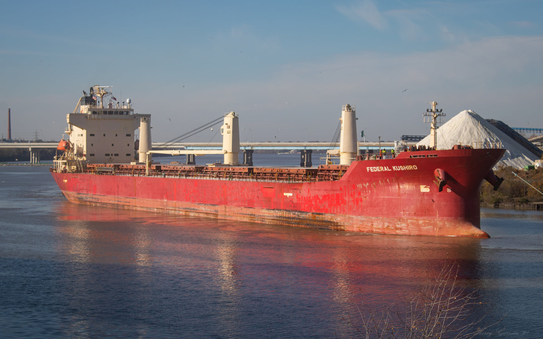 Port Reports – November 7