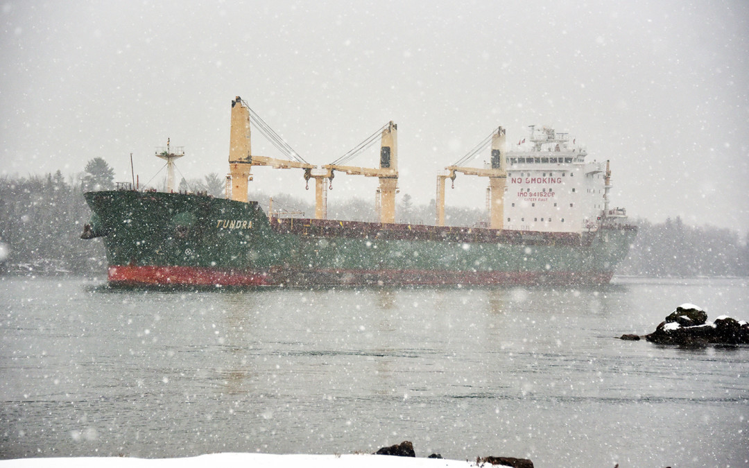 Port Reports – December 1