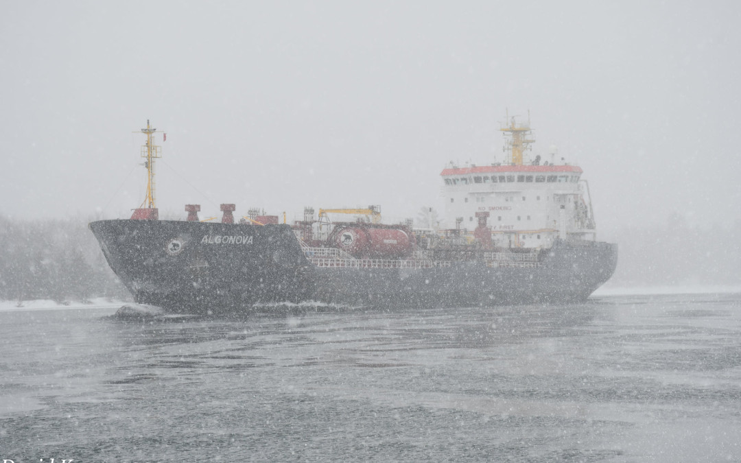 Port Reports – January 28