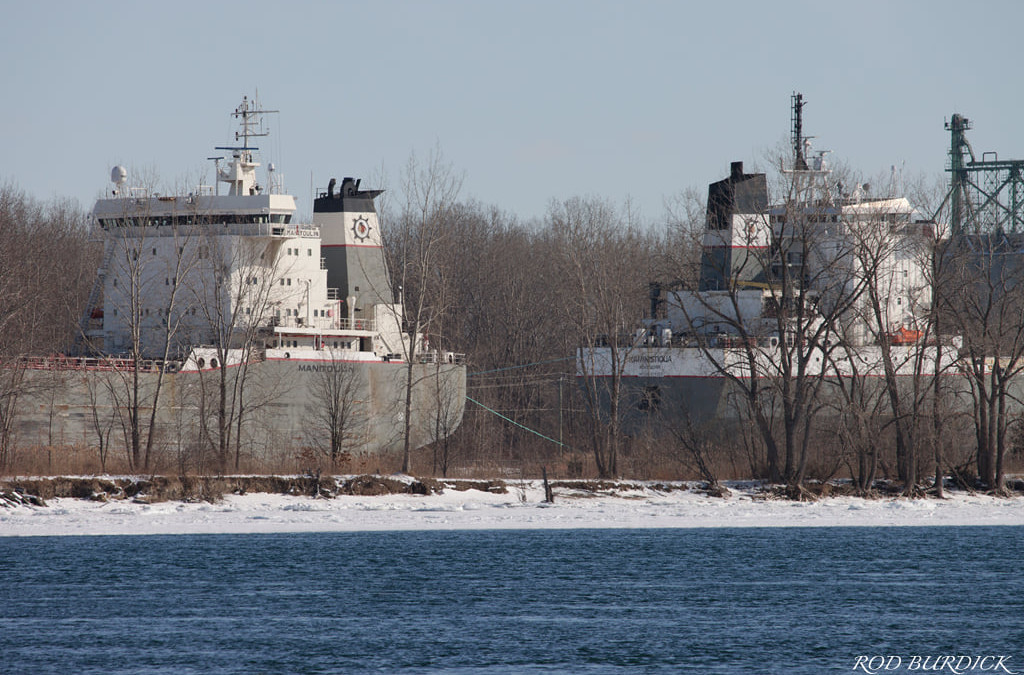 Port Reports – January 31
