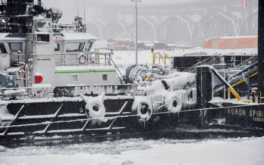 Port Reports – January 11