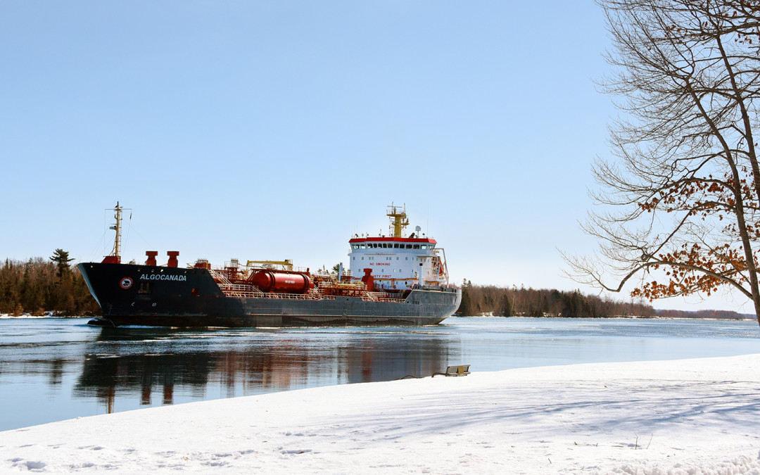 Port Reports – February 20