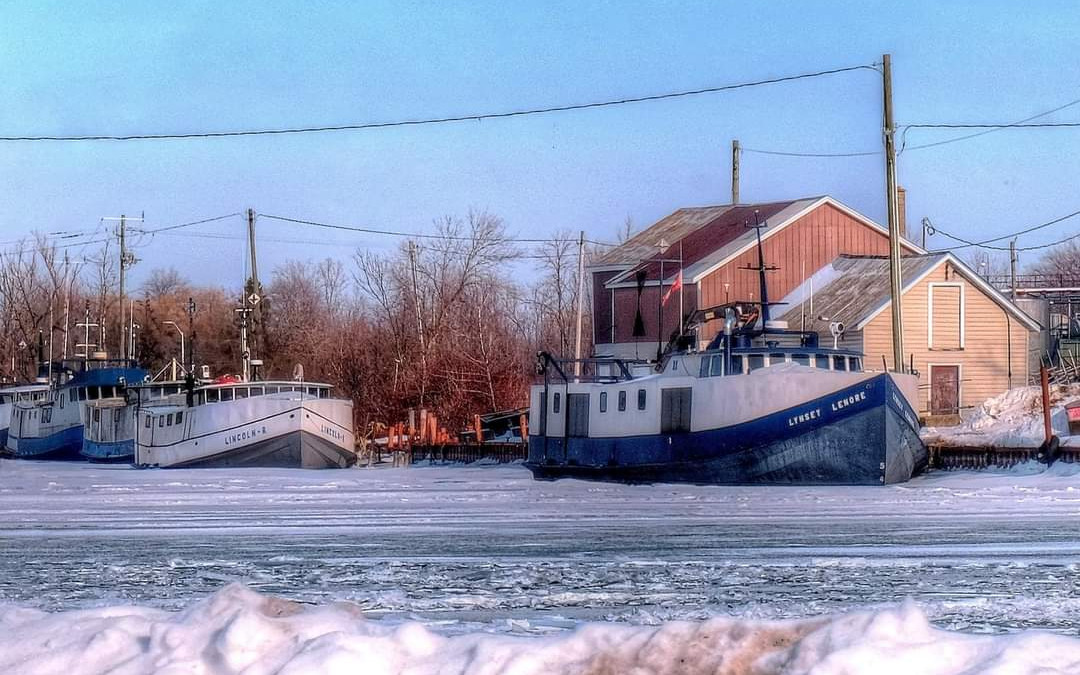 Port Reports – February 19