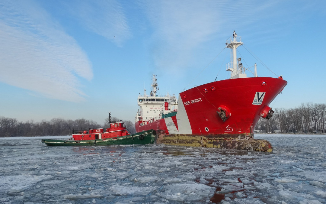 Port Reports – February 16