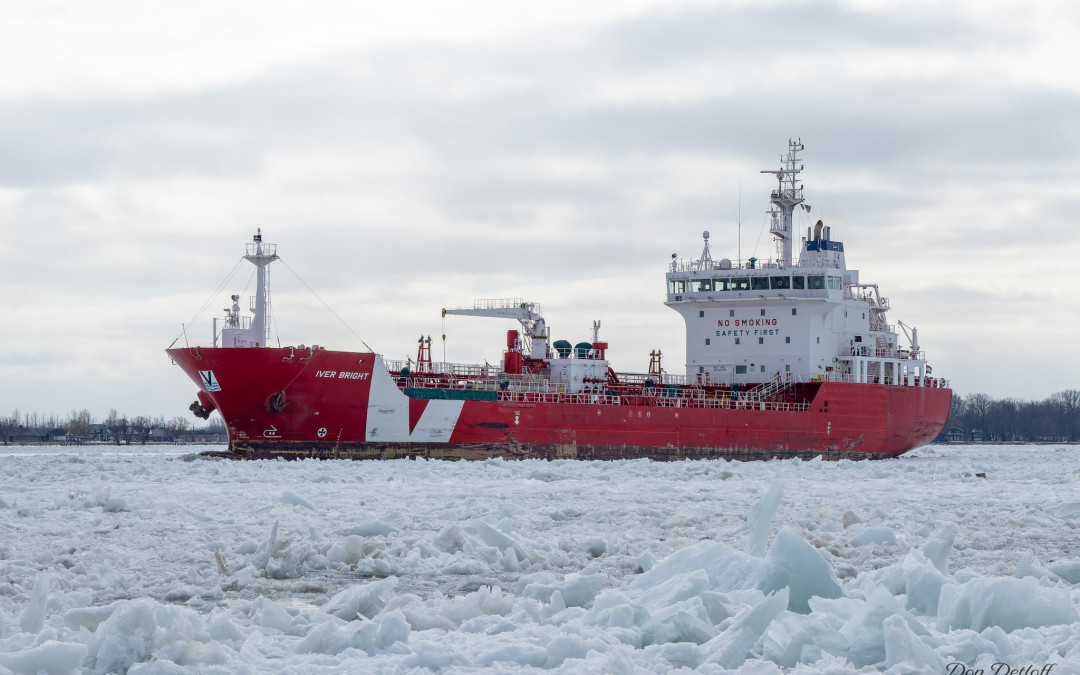 Port Reports – February 15