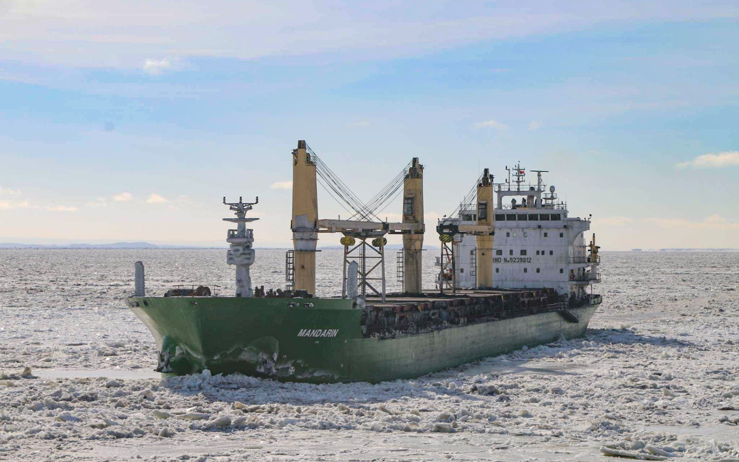 Port Reports – February 5