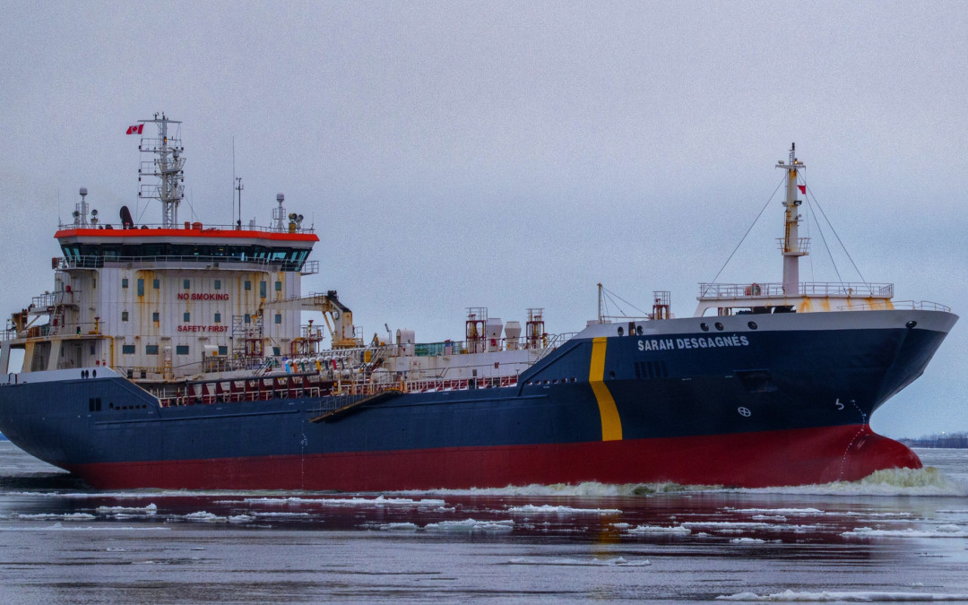 Port Reports – February 12
