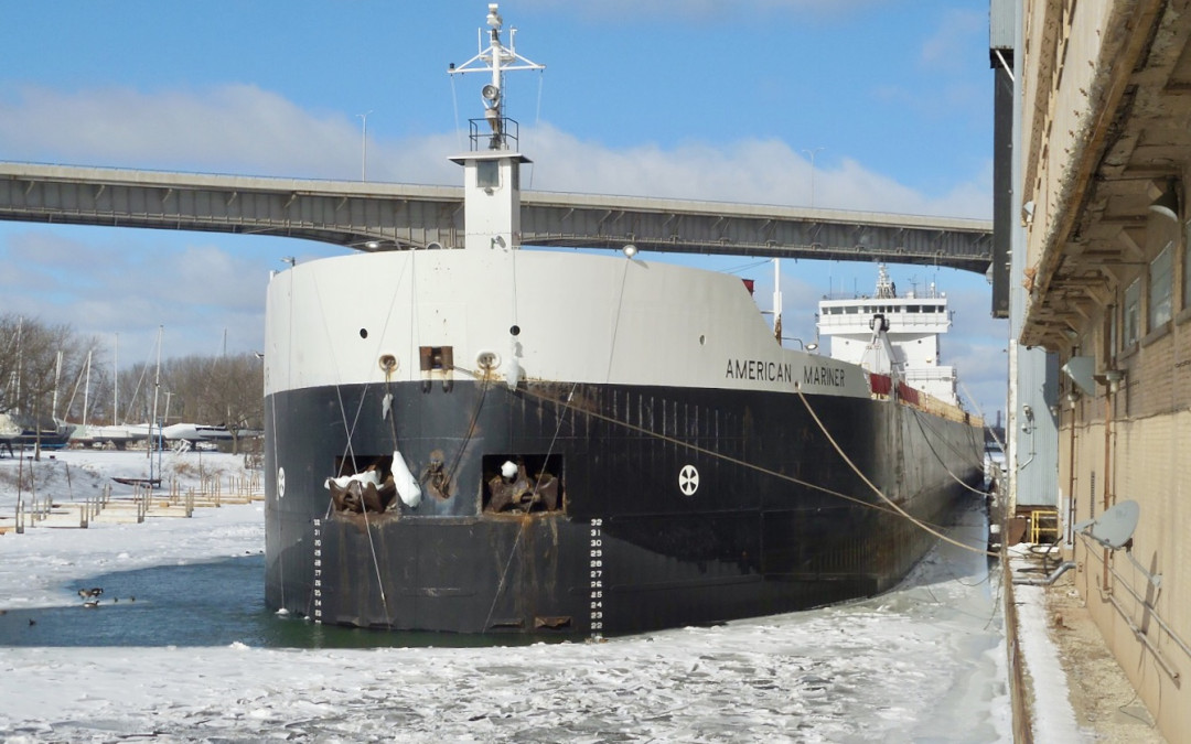 Port Reports – February 7
