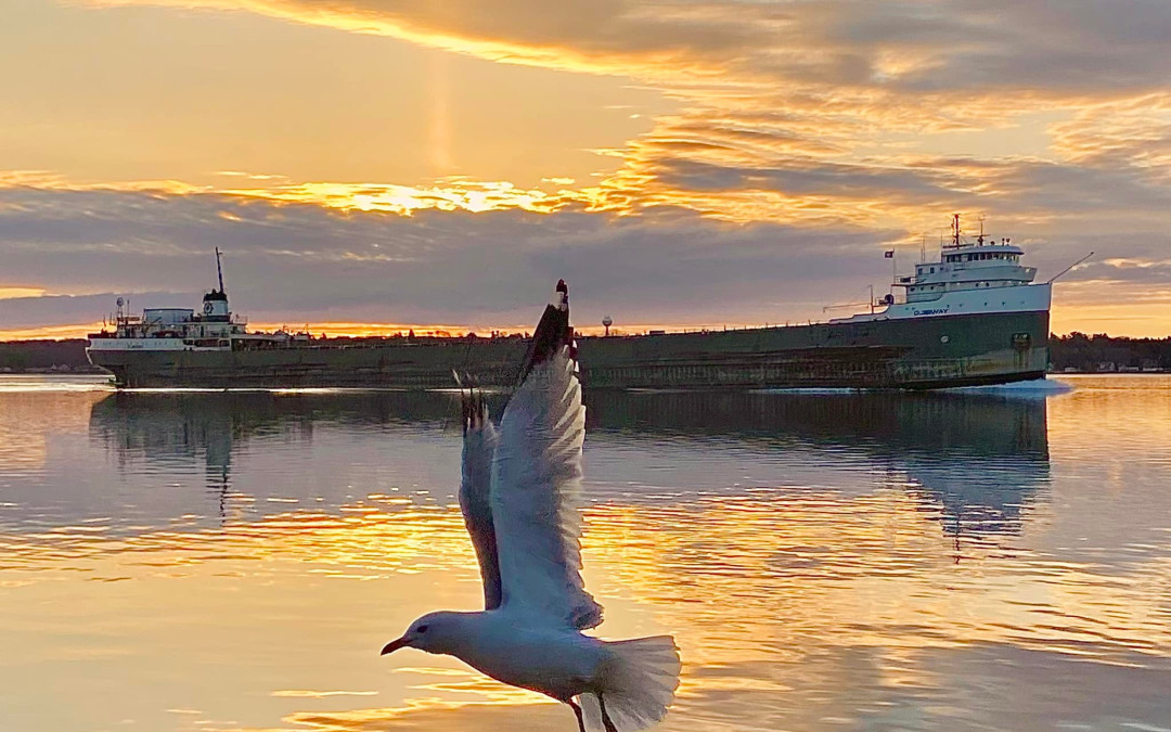 Port Reports – April 5