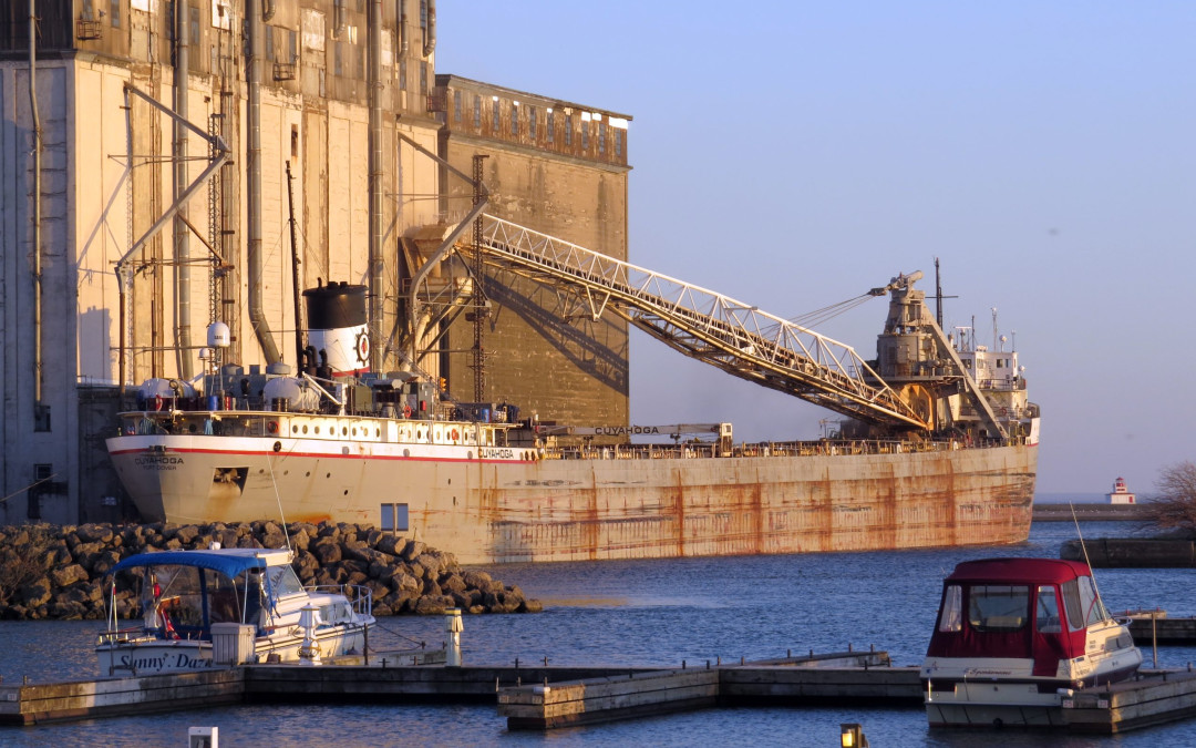 Port Reports – May 12
