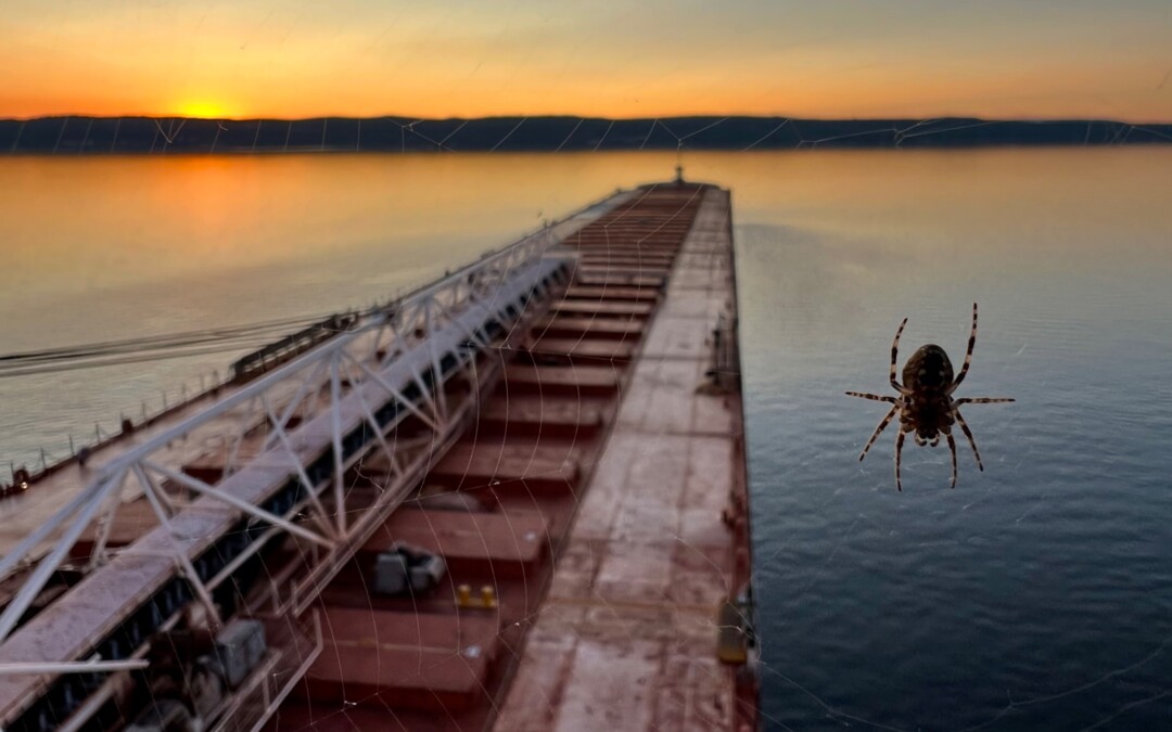 Port Reports – July 3, 2022