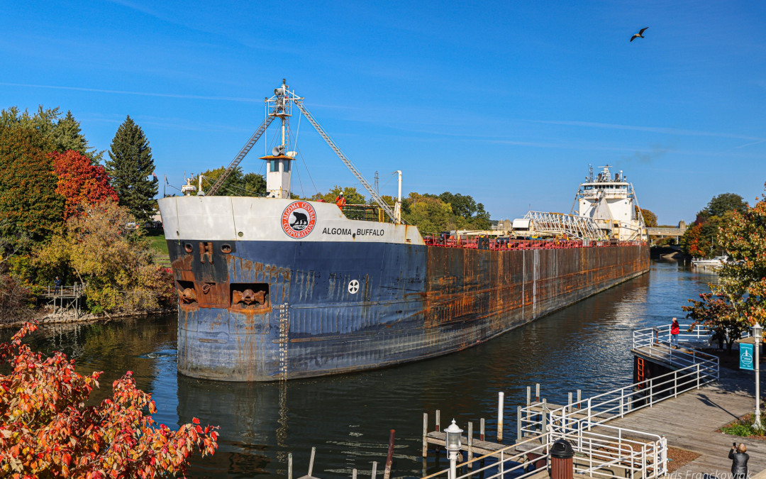 Port Reports – October 11, 2022