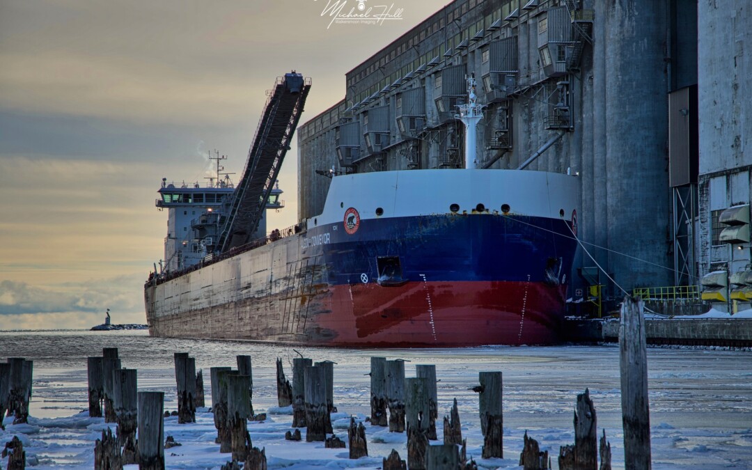 Algoma Conveyor