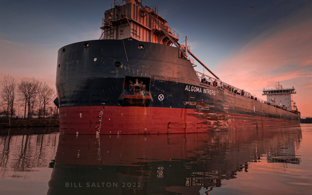 Port Reports – November 24, 2022