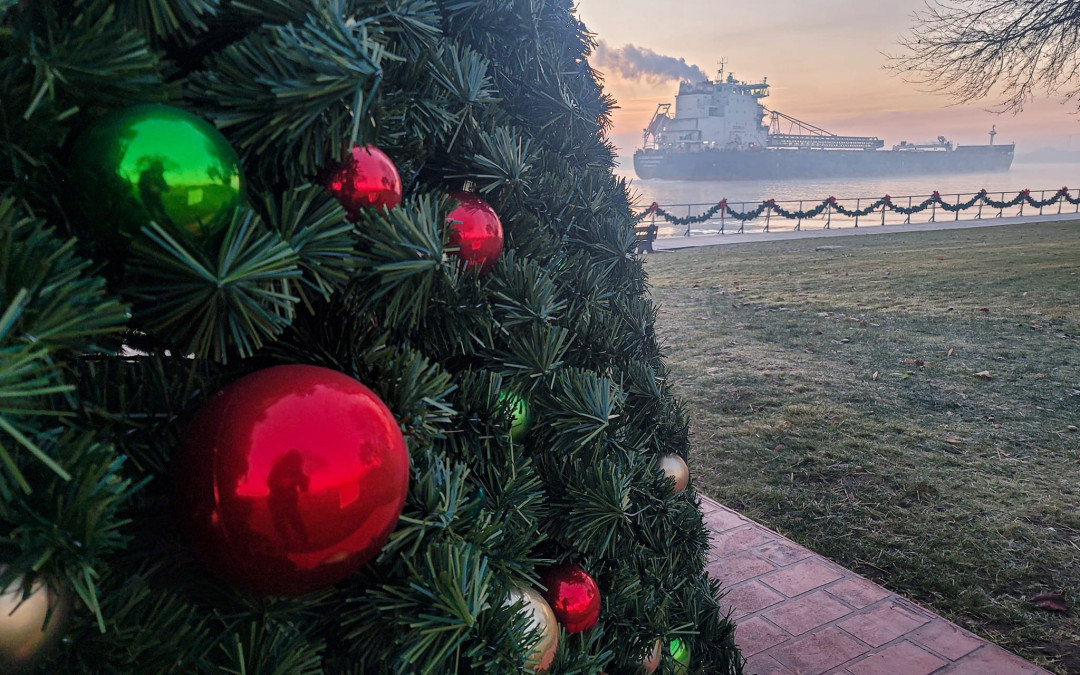 Port Reports – November 25, 2022