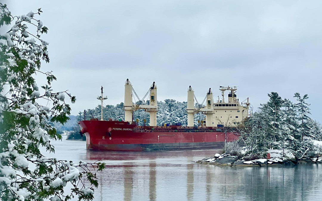 Port Reports – November 17, 2022