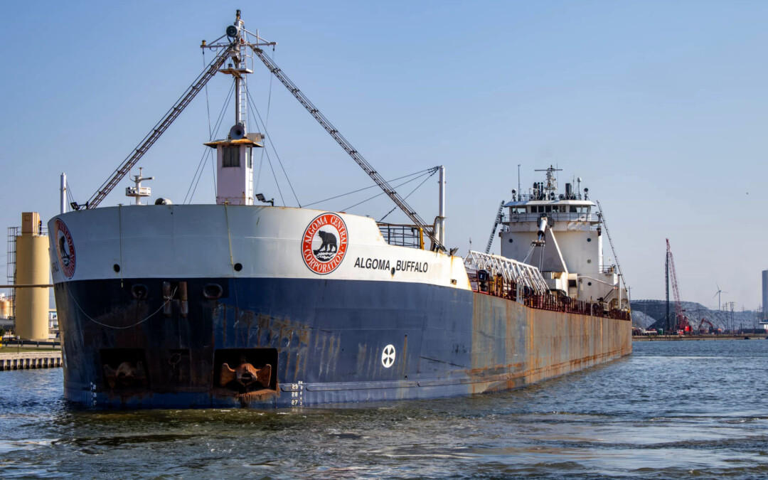 Algoma Buffalo