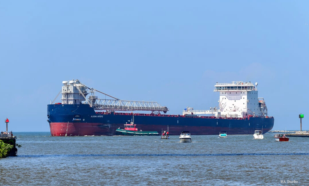 Algoma Intrepid