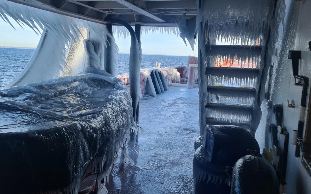Port Reports – December 2, 2022