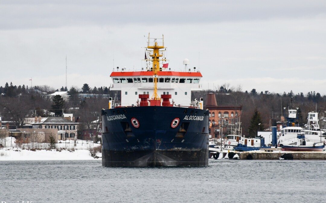 Port Reports – February 12, 2023