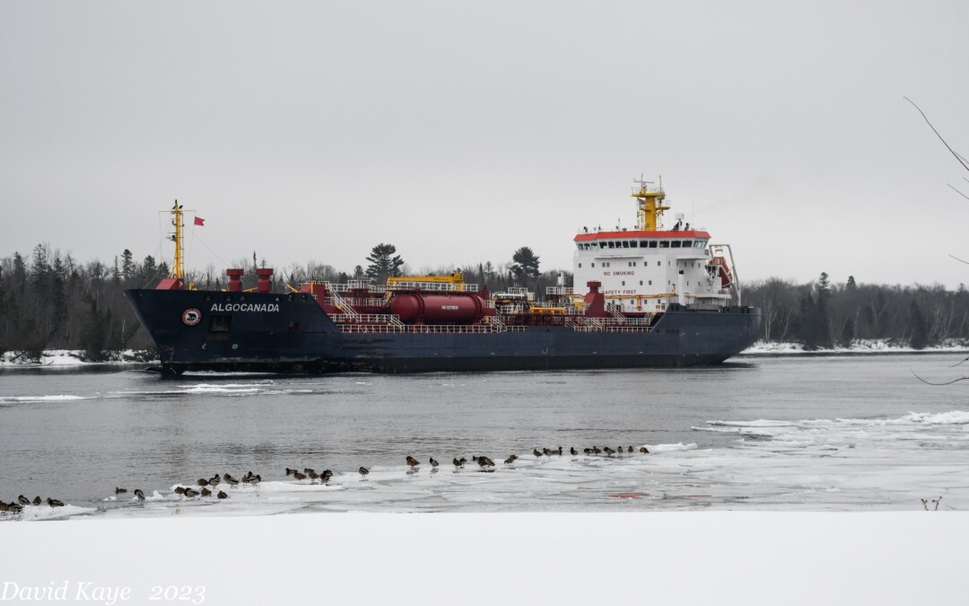 Port Reports – February 10, 2023