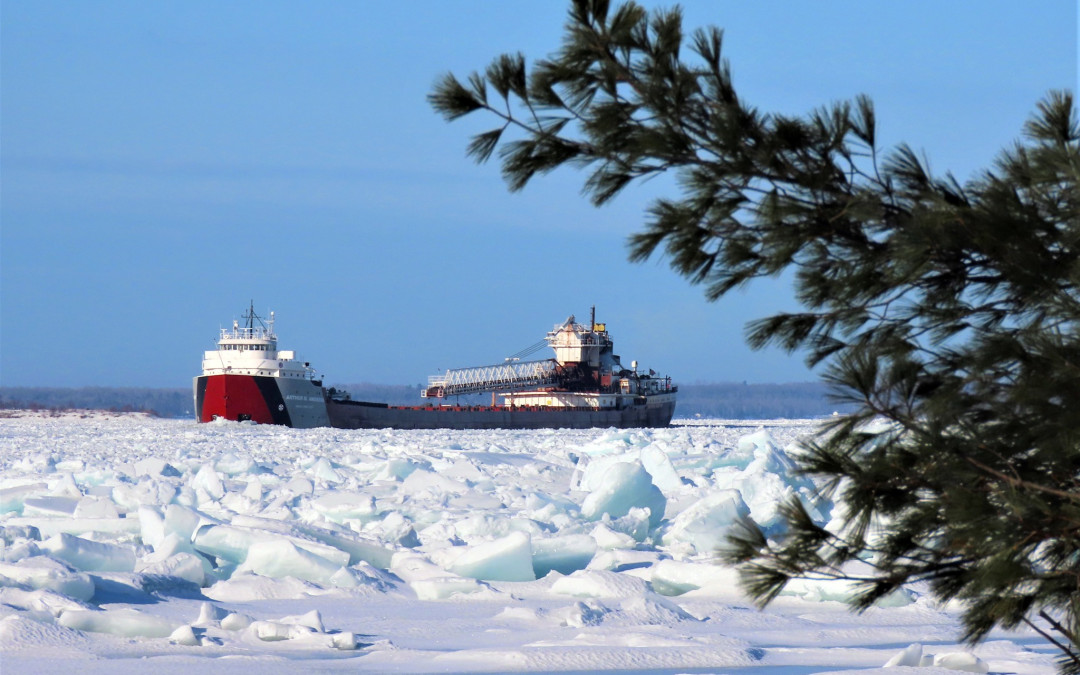 Port Reports – April 11, 2023