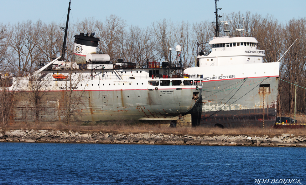 Port Report  February 12, 2024