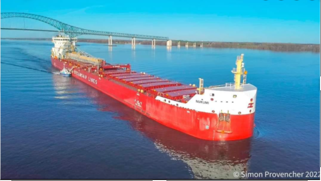 Port Report  November 14, 2024