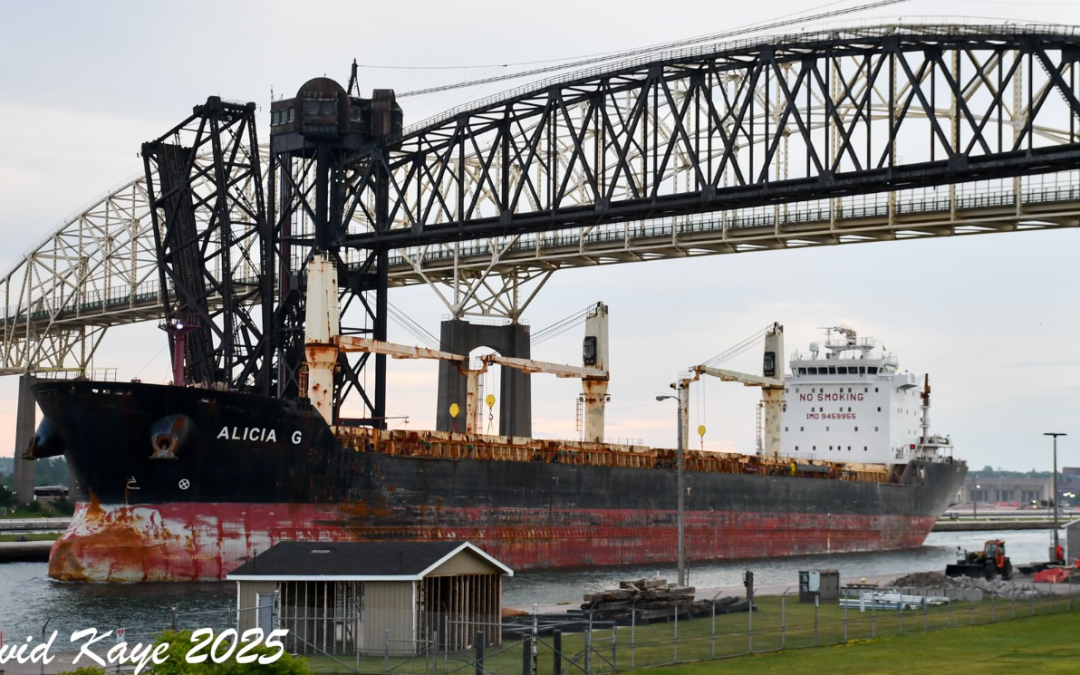 Port Report – January 19, 2026