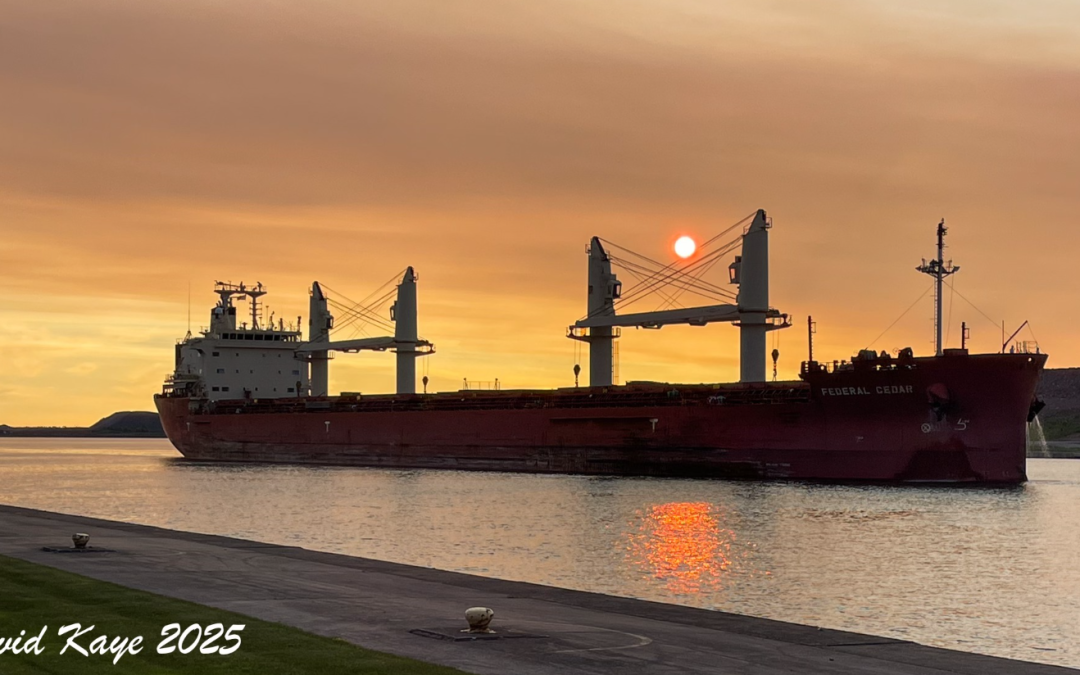 Port Report – January 25, 2026