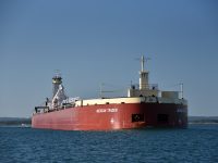 Michigan Trader downbound on the St. Marys River on 8-22-21. Roger LeLievre
