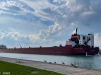 Stewart J Cort upbound at the Soo on Saturday. David Kaye