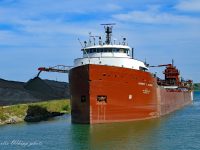 Herbert C. Jackson unloads coal at Zug Island this past weekend on a beautiful day. Charlie Whipp image, September 10