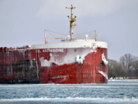 CSL Assiniboine at Marine City on Tuesday. Lori Hannon (Jan 2022)