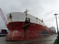 Oakglen leaving the Mac Lock on Saturday. Sam Hankinson (Nov 2021)